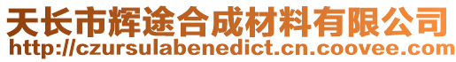 天長市輝途合成材料有限公司