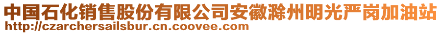 中國石化銷售股份有限公司安徽滁州明光嚴(yán)崗加油站