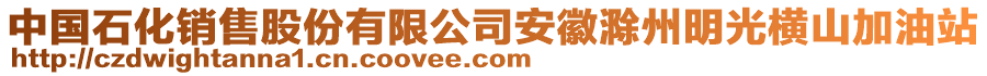 中國(guó)石化銷(xiāo)售股份有限公司安徽滁州明光橫山加油站