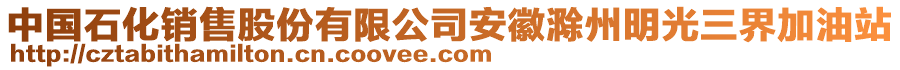 中國石化銷售股份有限公司安徽滁州明光三界加油站