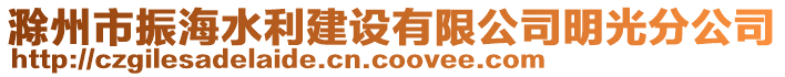 滁州市振海水利建設有限公司明光分公司