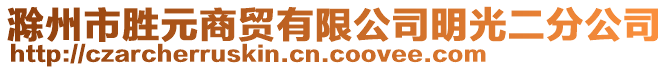 滁州市胜元商贸有限公司明光二分公司