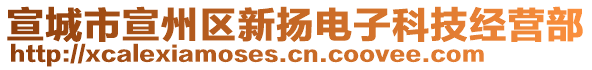 宣城市宣州區(qū)新?lián)P電子科技經(jīng)營部