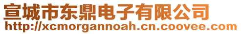 宣城市東鼎電子有限公司