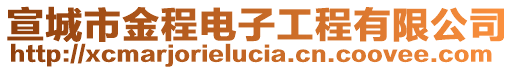 宣城市金程電子工程有限公司