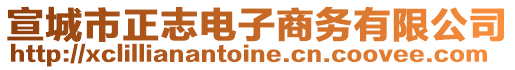 宣城市正志電子商務(wù)有限公司