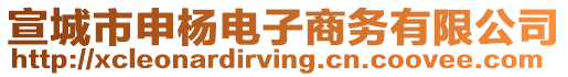 宣城市申楊電子商務有限公司