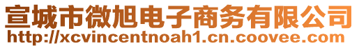 宣城市微旭電子商務(wù)有限公司