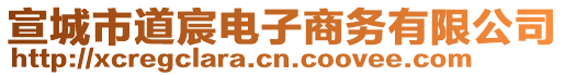 宣城市道宸电子商务有限公司