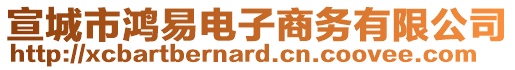 宣城市鴻易電子商務(wù)有限公司