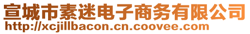 宣城市素迷電子商務(wù)有限公司