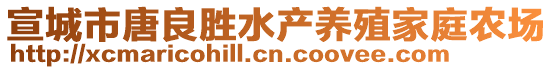 宣城市唐良胜水产养殖家庭农场