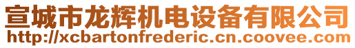 宣城市龍輝機(jī)電設(shè)備有限公司