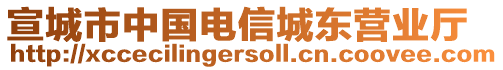 宣城市中國電信城東營業(yè)廳