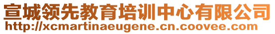 宣城領(lǐng)先教育培訓(xùn)中心有限公司