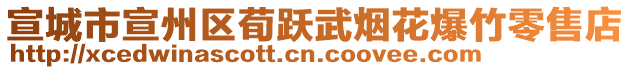 宣城市宣州區(qū)荀躍武煙花爆竹零售店