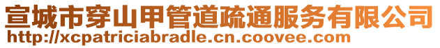 宣城市穿山甲管道疏通服務(wù)有限公司