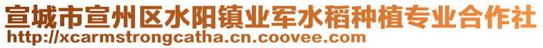 宣城市宣州區(qū)水陽鎮(zhèn)業(yè)軍水稻種植專業(yè)合作社