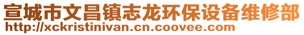 宣城市文昌鎮(zhèn)志龍環(huán)保設(shè)備維修部