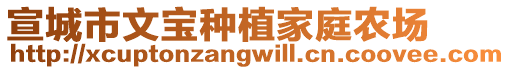 宣城市文寶種植家庭農(nóng)場