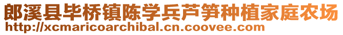 郎溪縣畢橋鎮(zhèn)陳學(xué)兵蘆筍種植家庭農(nóng)場