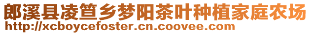 郎溪縣凌笪鄉(xiāng)夢陽茶葉種植家庭農(nóng)場