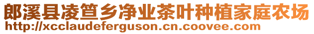 郎溪縣凌笪鄉(xiāng)凈業(yè)茶葉種植家庭農(nóng)場