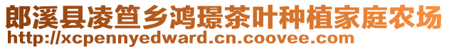 郎溪县凌笪乡鸿璟茶叶种植家庭农场