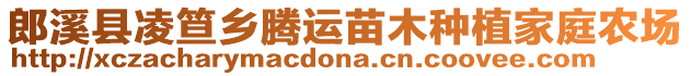 郎溪縣凌笪鄉(xiāng)騰運苗木種植家庭農(nóng)場