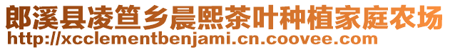 郎溪县凌笪乡晨熙茶叶种植家庭农场