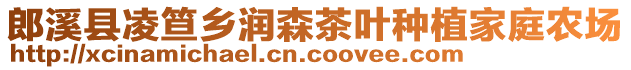 郎溪县凌笪乡润森茶叶种植家庭农场