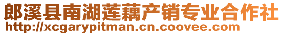 郎溪縣南湖蓮藕產銷專業(yè)合作社