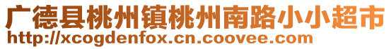 广德县桃州镇桃州南路小小超市