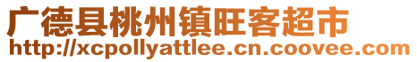 广德县桃州镇旺客超市