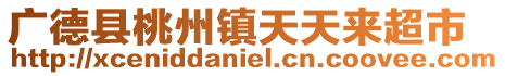 廣德縣桃州鎮天天來超市