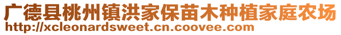 廣德縣桃州鎮(zhèn)洪家保苗木種植家庭農(nóng)場(chǎng)