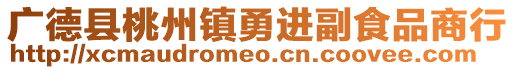 廣德縣桃州鎮勇進副食品商行