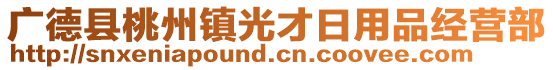 廣德縣桃州鎮(zhèn)光才日用品經(jīng)營部