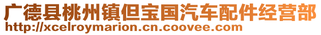 广德县桃州镇但宝国汽车配件经营部