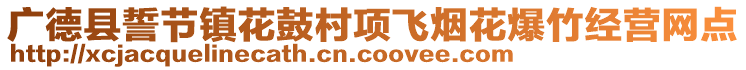 廣德縣誓節(jié)鎮(zhèn)花鼓村項(xiàng)飛煙花爆竹經(jīng)營(yíng)網(wǎng)點(diǎn)