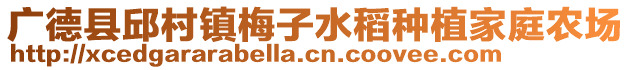 廣德縣邱村鎮(zhèn)梅子水稻種植家庭農(nóng)場