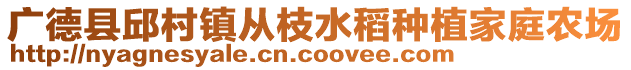 廣德縣邱村鎮(zhèn)從枝水稻種植家庭農(nóng)場(chǎng)