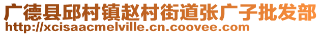 廣德縣邱村鎮(zhèn)趙村街道張廣子批發(fā)部