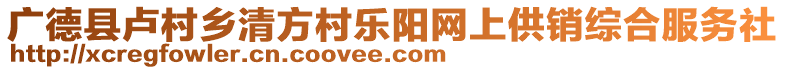 廣德縣盧村鄉(xiāng)清方村樂陽網(wǎng)上供銷綜合服務社