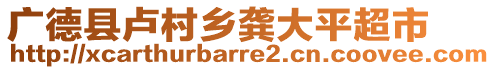 廣德縣盧村鄉(xiāng)龔大平超市