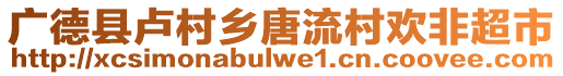 廣德縣盧村鄉(xiāng)唐流村歡非超市