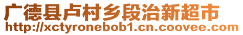 廣德縣盧村鄉(xiāng)段治新超市