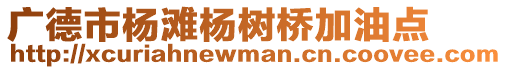 廣德市楊灘楊樹橋加油點