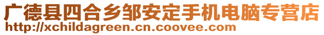 廣德縣四合鄉(xiāng)鄒安定手機(jī)電腦專營店