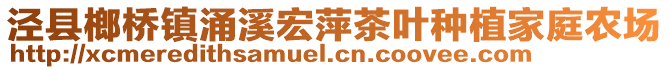 涇縣榔橋鎮(zhèn)涌溪宏萍茶葉種植家庭農(nóng)場